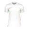 Nike Trikot Weiss Slim Fit F102 - weiss