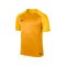 Nike Trophy III Dry Team Trikot kurzarm Gold F739 - gold
