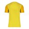 Nike Trophy V Trikot Gelb F719 - gelb