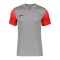 Nike Trophy V Trikot Grau F052 - grau