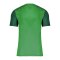Nike Trophy V Trikot Grün F302 - gruen