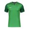 Nike Trophy V Trikot Grün F302 - gruen