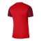 Nike Trophy V Trikot Kids Rot F657 - rot