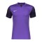Nike Trophy V Trikot Lila F547 - lila