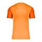 Nike Trophy V Trikot Orange F819 - orange