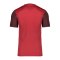 Nike Trophy V Trikot Rot F657 - rot