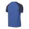Nike Trophy VI Trikot Blau F463 - blau