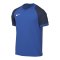 Nike Trophy VI Trikot Blau F463 - blau