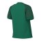 Nike Trophy VI Trikot Damen Grün F302 - gruen