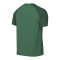 Nike Trophy VI Trikot Grün F302 - gruen
