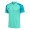 Nike Trophy VI Trikot Grün F354 - gruen