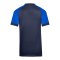 Nike Trophy VI Trikot Kids Blau F410 - blau
