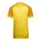 Nike Trophy VI Trikot Kids Gelb F719 - gelb