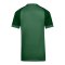 Nike Trophy VI Trikot Kids Grün F302 - gruen