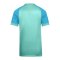 Nike Trophy VI Trikot Kids Grün F354 - gruen