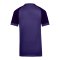 Nike Trophy VI Trikot Kids Lila F547 - lila