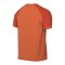 Nike Trophy VI Trikot Orange F819 - orange