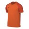 Nike Trophy VI Trikot Orange F819 - orange