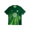 Nike VfL Wolfsburg Trikot Home 2025/2026 Grün F341 - gruen