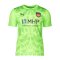 PUMA 1. FC Heidenheim Torwarttrikot 2025/2026 Grün F20 - gruen