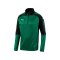 PUMA Ascension 1/4 Zip Top Training Grün F05 - gruen