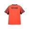 PUMA Borussia Dortmund Torwarttrikot Orange F70 - orange