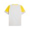 PUMA Borussia Dortmund Trainingsshirt Grau F18 - grau