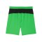 PUMA Borussia Mönchengladbach Short Away 2025/2026 Grün F02 - gruen