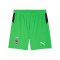 PUMA Borussia Mönchengladbach Short Away 2025/2026 Grün F02 - gruen
