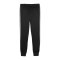 PUMA BVB Dortmund Ftbl Trainingshose Schwarz F06 - schwarz
