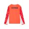 PUMA Borussia Dortmund LS Torwarttrikot 2025/2026 Kids Rot F99 - rot