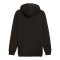 PUMA Essentials 2 Col Big Logo Hoody Schwarz F059 - schwarz