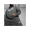 PUMA Essentials Big Logo Hoody Grau F069 - grau