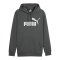 PUMA Essentials Big Logo Hoody Grau F069 - grau