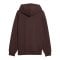 PUMA FC St. Pauli Graphic Hoody Braun F01 - braun