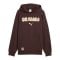 PUMA FC St. Pauli Graphic Hoody Braun F01 - braun