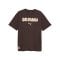 PUMA FC St. Pauli Graphic T-Shirt Braun F01 - braun