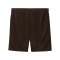 PUMA FC St. Pauli Special Short 2024/2025 Braun F10 - braun