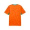 PUMA FIF Elfenbeinküste Trikot Home WM 2026 Orange F01 - orange