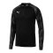 PUMA Football NEXT 1/4 Zip Top Sweatshirt F01 - schwarz