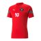 PUMA Forever Faster FC Trainings-Trikot - rot