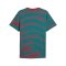 PUMA FPF Portugal FtblCulture T-Shirt Rot F30 - rot