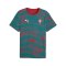 PUMA FPF Portugal FtblCulture T-Shirt Rot F30 - rot