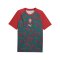 PUMA FPF Portugal Prematch T-Shirt WM 2026 Rot F37 - rot