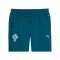 PUMA FPF Portugal Pumatech Jogginghose Blau F15 - blau