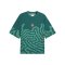 PUMA FPF Portugal Salehe T-Shirt Grün F41 - gruen