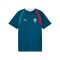 PUMA FPF Portugal Trainingsshirt Blau F15 - blau