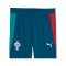 PUMA FPF Portugal Trainingshose Kids Blau F15 - blau