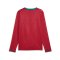 PUMA FPF Portugal Replica Trikot Langarm Home WM 2026 Rot F01 - rot