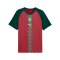 PUMA FRMF Marokko Prematch T-Shirt WM 2026 Rot F11 - rot